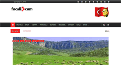 Desktop Screenshot of focali.com
